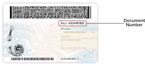 document number new york license.